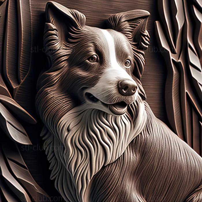 3D model st Border Collie dog (STL)